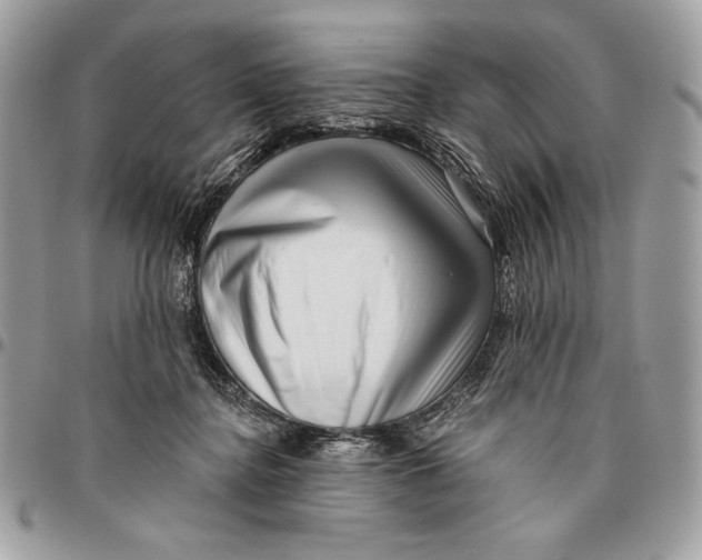 X0000096130364200802081331