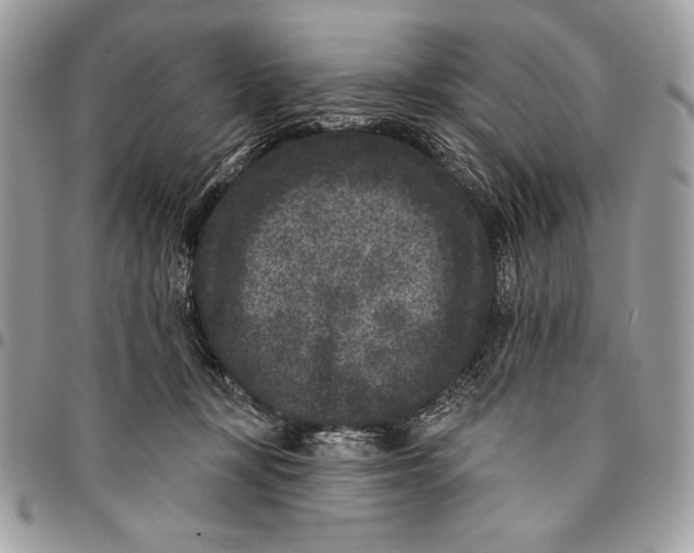 X0000096130367200802081331