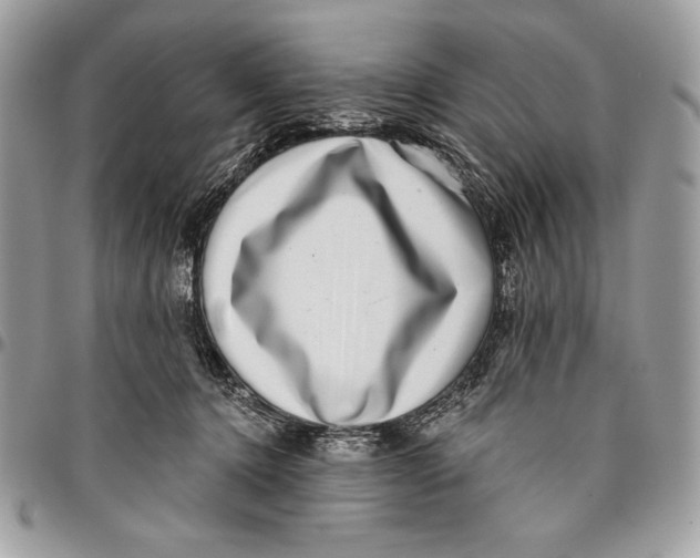 X0000096130368200802081331