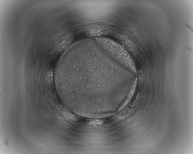 X0000096130369200802081331