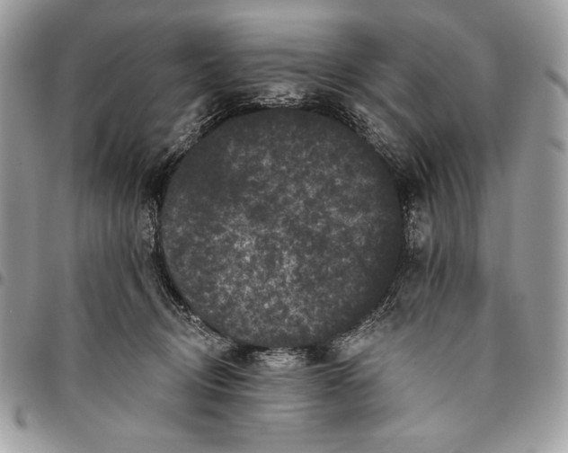 X0000096130370200802081331