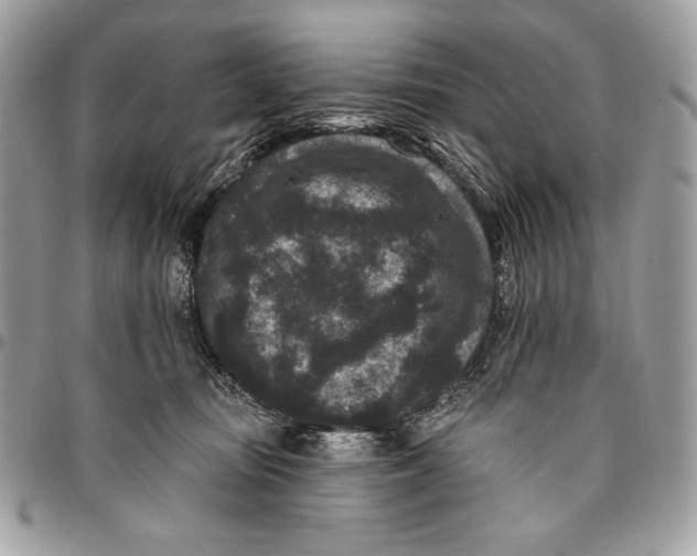 X0000096130371200802081331