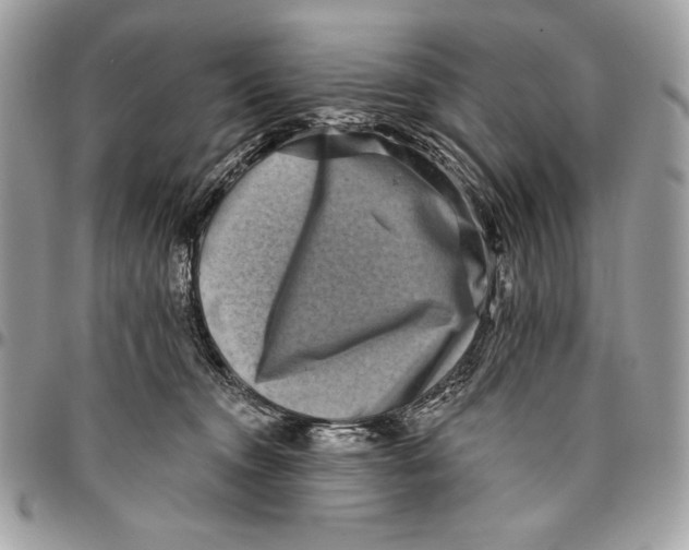 X0000096130372200802081331