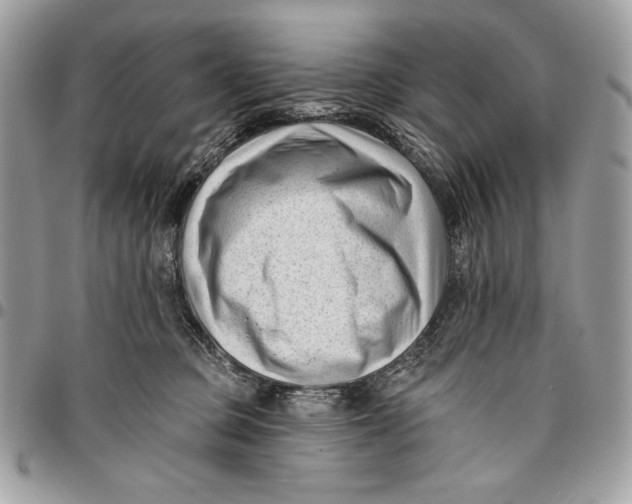 X0000096130373200802081331