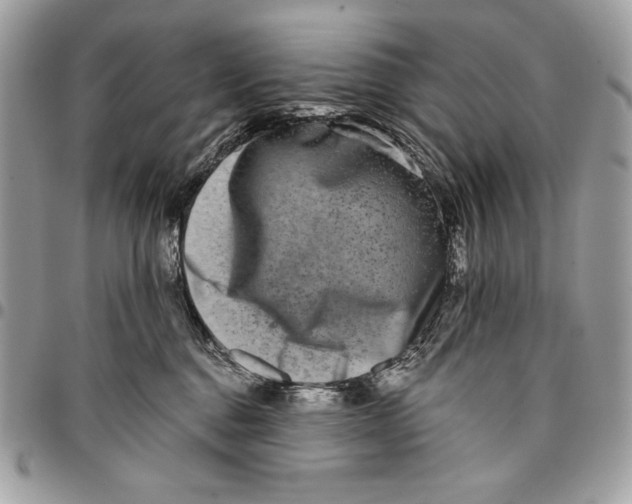 X0000096130376200802081331