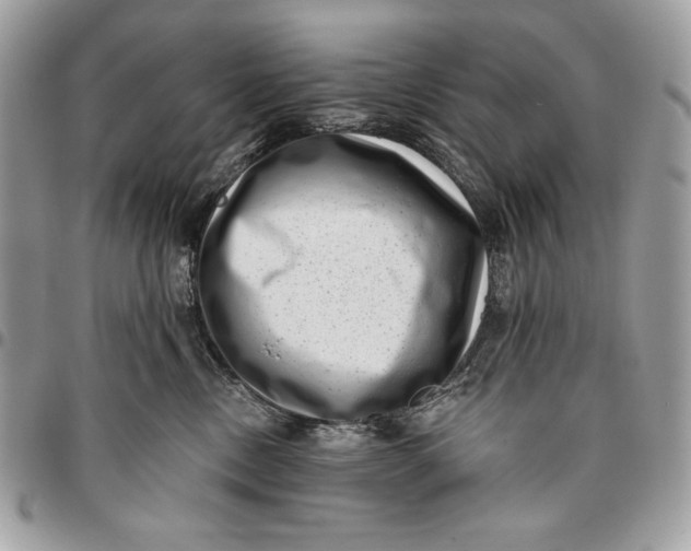 X0000096130378200802081331