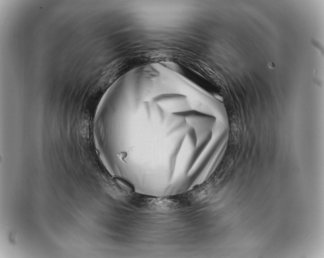 X0000096130379200802081331