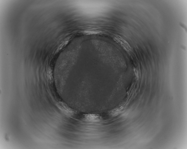 X0000096130380200802081331