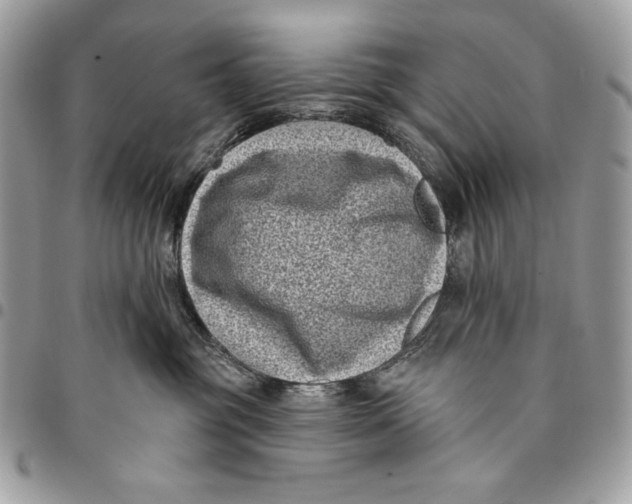 X0000096130381200802081331
