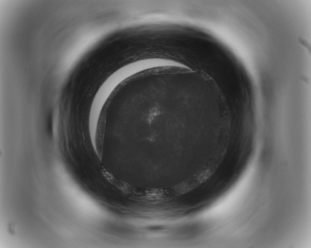 X0000096130382200802081331