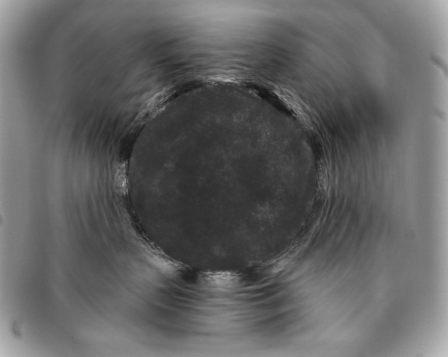 X0000096130383200802081331