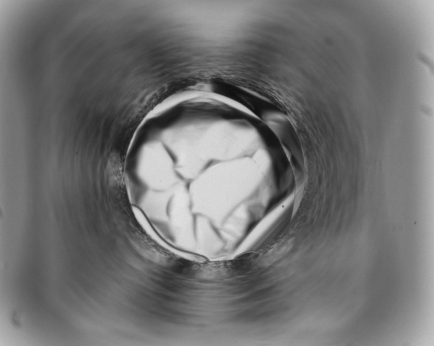 X0000096130384200802081331
