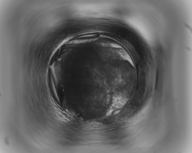 X0000096130387200802081330