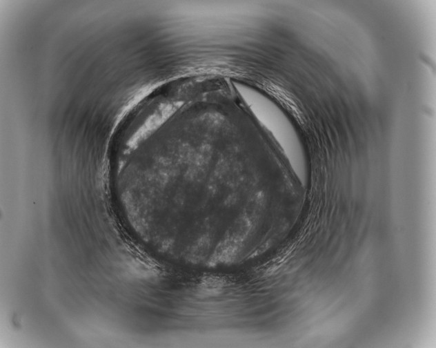 X0000096130388200802081330