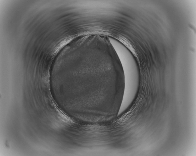 X0000096130389200802081330