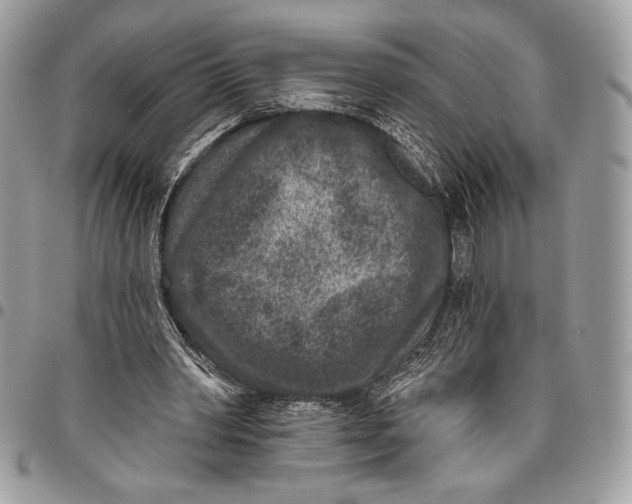 X0000096130390200802081330