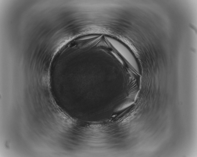 X0000096130391200802081330