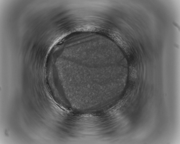 X0000096130392200802081330