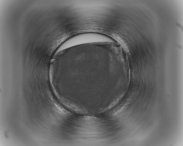 X0000096130393200802081330