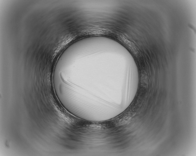 X0000096130394200802081330