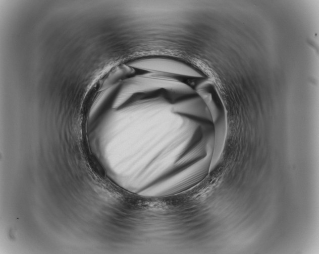 X0000096130395200802081330