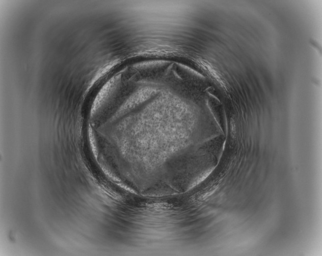 X0000096130396200802081330