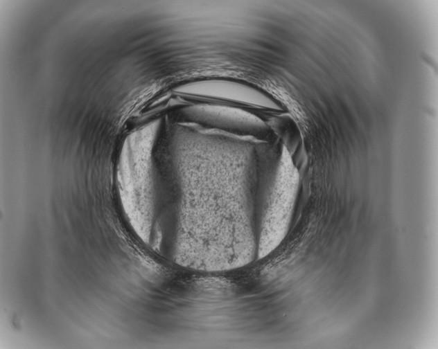 X0000096130397200802081330