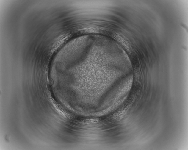 X0000096130398200802081330