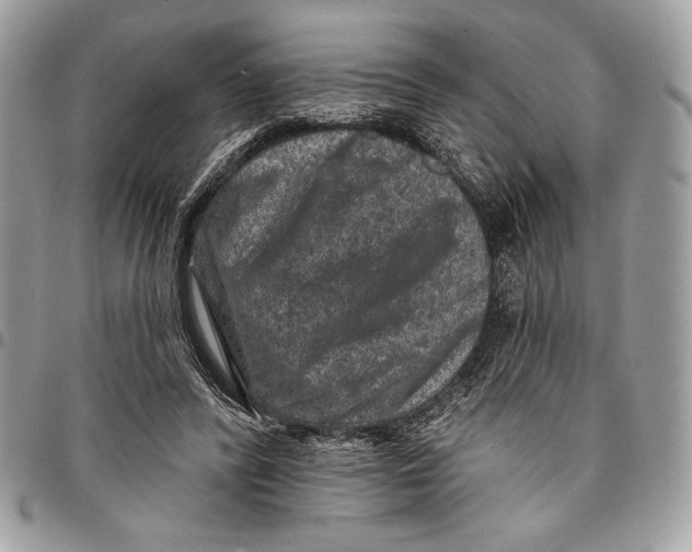 X0000096130400200802081330