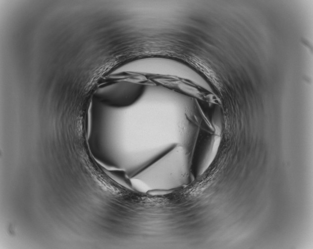 X0000096130401200802081330
