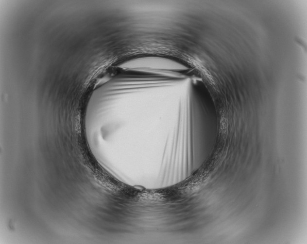 X0000096130403200802081330