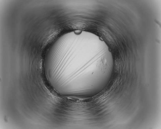 X0000096130404200802081330
