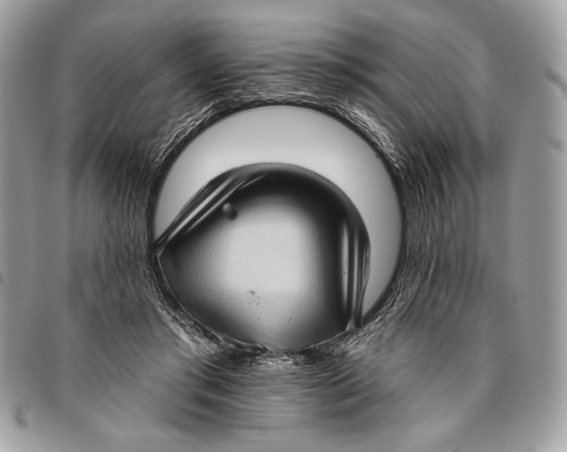 X0000096130405200802081330