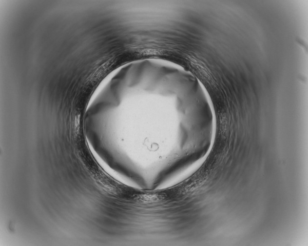 X0000096130406200802081330