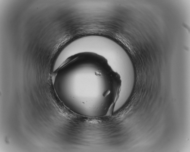 X0000096130407200802081330