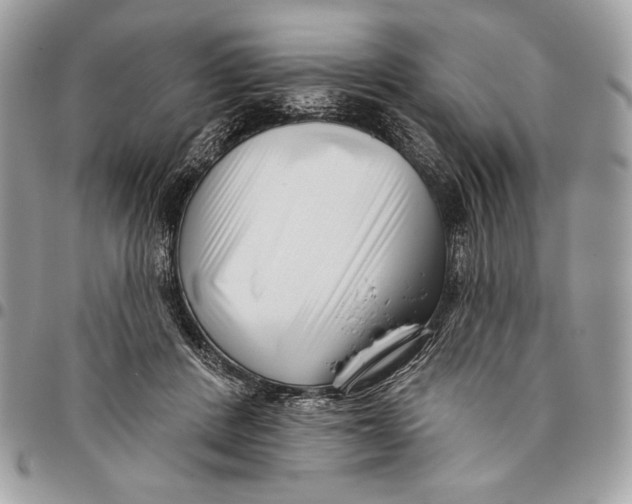 X0000096130408200802081330