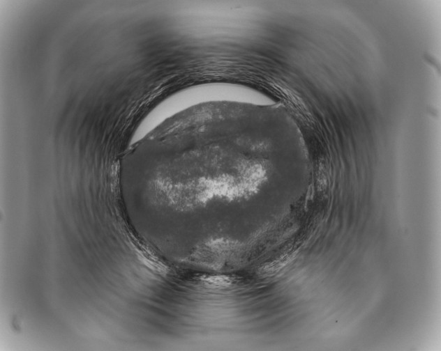 X0000096130409200802081330