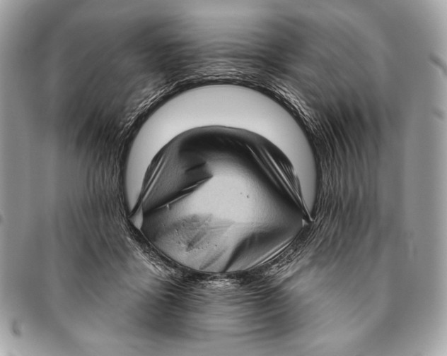 X0000096130411200802081330