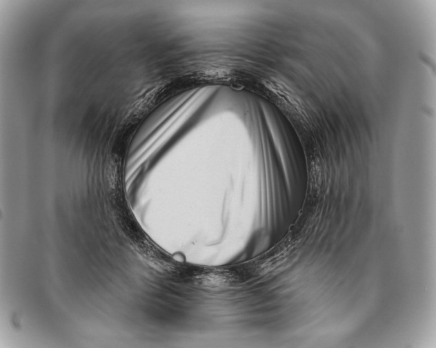 X0000096130412200802081330