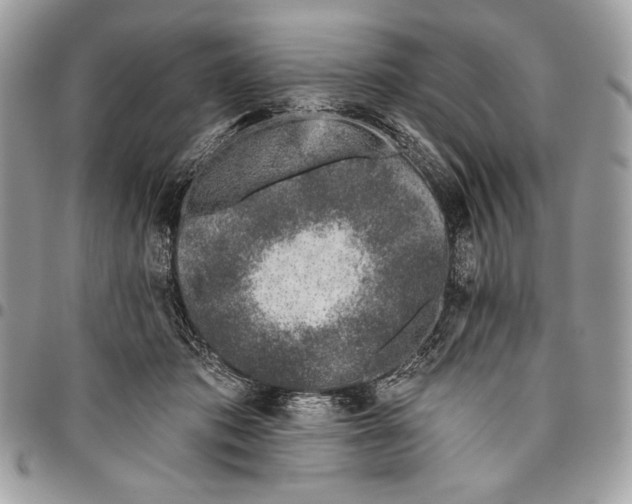 X0000096130413200802081330