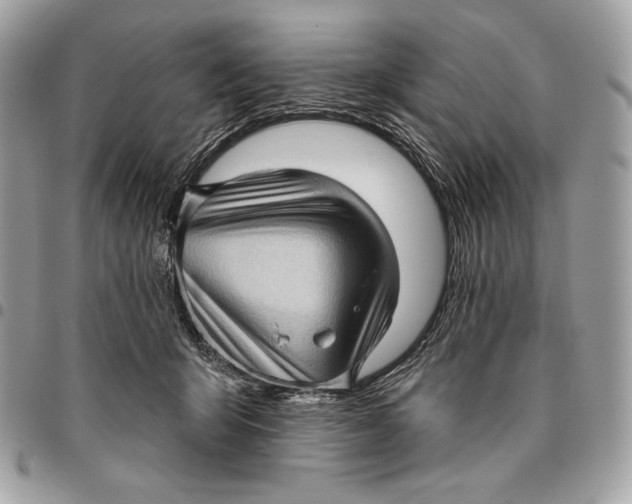 X0000096130415200802081330