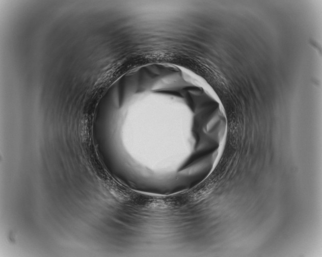 X0000096130416200802081330