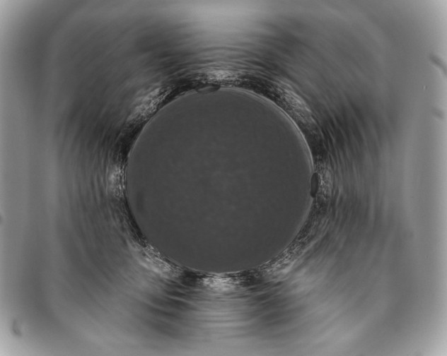 X0000096130419200802081330