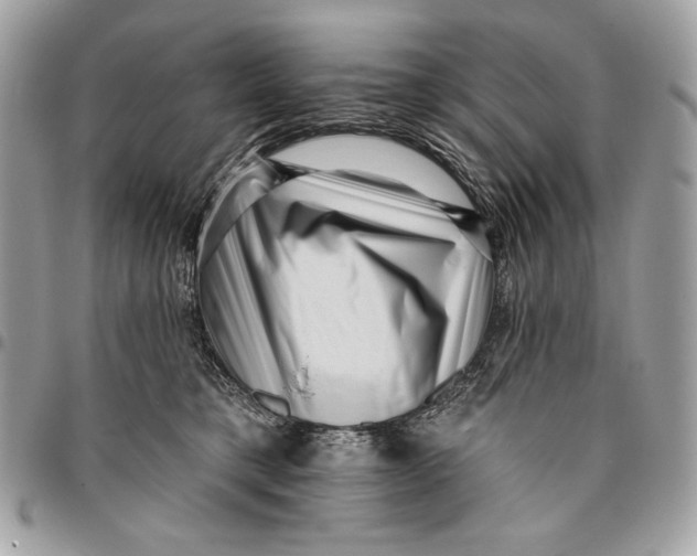 X0000096130421200802081330