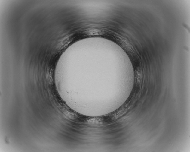 X0000096130422200802081330