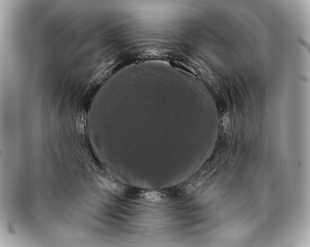 X0000096130423200802081330
