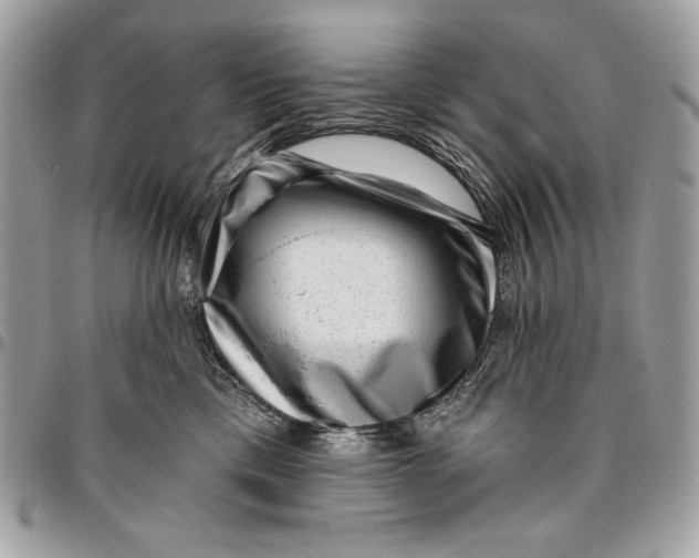 X0000096130425200802081330