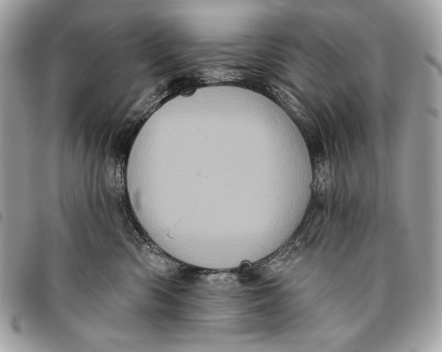 X0000096130426200802081330
