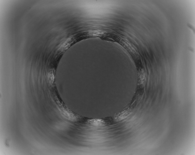 X0000096130427200802081330
