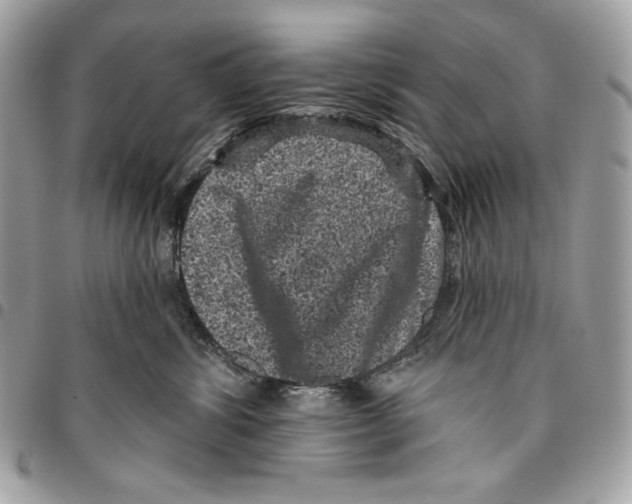 X0000096130428200802081330